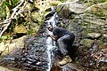 A man at a drinking water site in the wildlife sanctuary