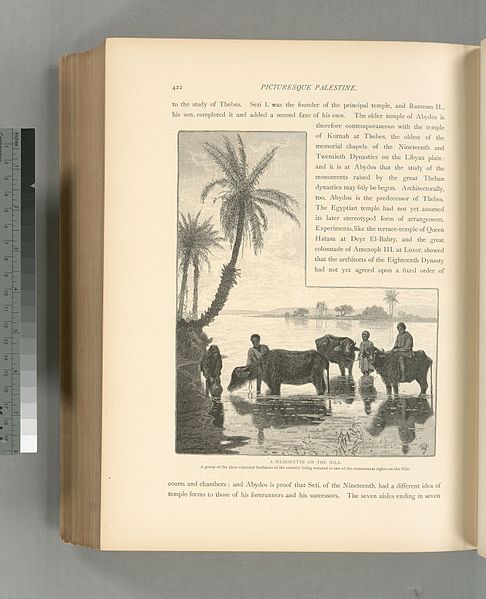 File:A silhouette on the Nile. A group of the slate colored buffaloes of the country being watered is one of the commonest sights on the Nile (NYPL b10607452-80833).jpg