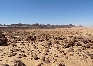 Stenöken, Sahara