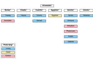 Afroasiatic Languages