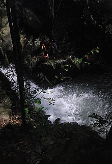 The Roadblock in Sabah had racers rappelling down the Kiansom Waterfall. Air terjun kiansom.jpg