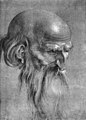 Albrecht Dürer - Head of an Apostle Looking Downward - WGA07067.jpg