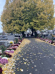 Allée cimetière Sens.jpg