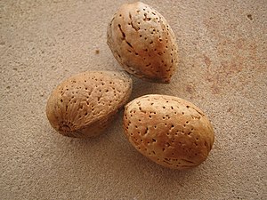 Almendras-rafax.JPG