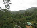 Thumbnail for Dalhousie, Sri Lanka