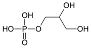 Miniatuur voor Bestand:Alpha-glycerophosphoric acid.PNG