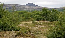 Paradísarhlaut an der Norðurá, im Hintergrund Vikrafell