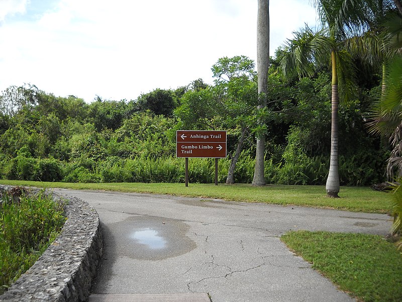 File:Anhinga Trail in Royal Palm^ - panoramio (2).jpg