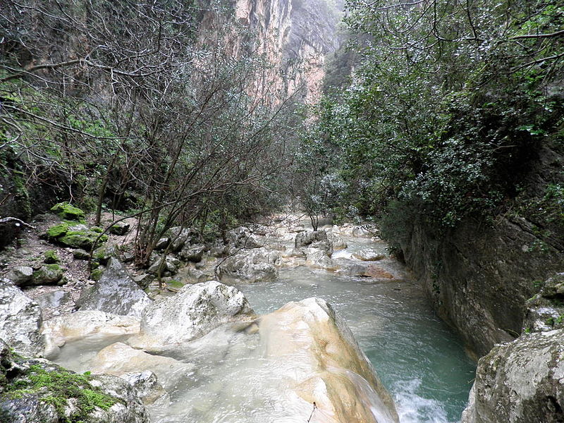 File:Arroyo del Pinar (4491193726).jpg