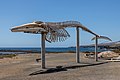 * Nomination Balaenoptera physalus skeleton (Salinas del Carmen) --Mike Peel 13:04, 28 November 2023 (UTC) * Promotion  Support Good quality. --C messier 18:01, 6 December 2023 (UTC)