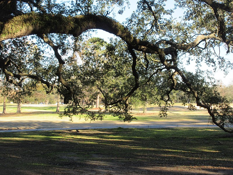 File:Audubon Park, New Orleans, Feb 2022 - 14.jpg