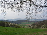 Blick von Böllstein (Wallbrunn) nach Westen: über Gneis-Hügel (rechts: Schnellerts, links: Eichberg-Rücken) und das Gesprenztal zum Flasergranitoid-Höhenzug Neunkircher-Höhe - Nonrod