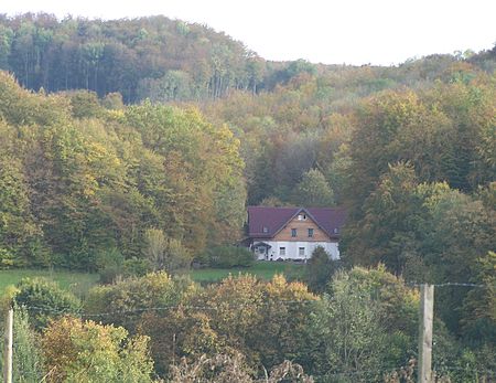 BALI Waldhaus Hubertushof