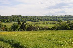 Baden-Württemberg, Boeblingen, LSG Boeblingen, WPA319988 SW.jpg