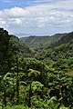 Français : Paysage depuis le jardin de Balata en Martinique.