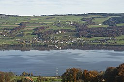 Baldeggersee och byn Gelfingen