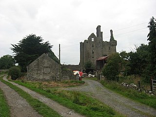 <span class="mw-page-title-main">Ballycowan Castle</span> Castle / Fortified House in County Offaly, Ireland