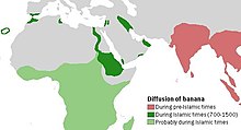 Map stating that banana cultivation occurred in pre-Islamic times in India and Southeast Asia, during the 700–1500 CE "Islamic period" along the நைல் and in மெசொப்பொத்தேமியா and Palestine, and less-certainly in sub-Saharan Africa during that same period