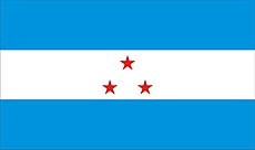 Bandeira de Rio Casca.jpg