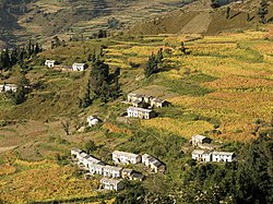 Terrasses à Bangali, village près de Nandaprayag, dans l'État himalayen d'Uttarakhand en Inde