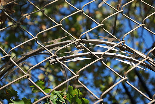 Barbed tape behind a chain link fence