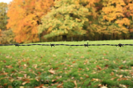 Français : Clôture barbelée d'un champ, à la lisière de la Châtaigneraie dans la commune de Visé, en Belgique.