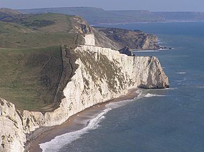 Bats head from white nothe.jpg