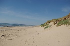Beach & dunes.