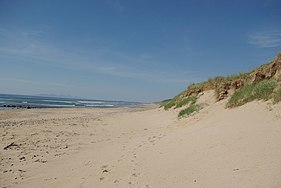 Beach and dunes at Machrihanish Bay - geograph.org.uk - 1432121.jpg
