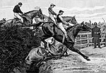 Thumbnail for List of equine fatalities in the Grand National