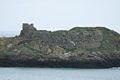 Ile gros rocher à Belle-Ile