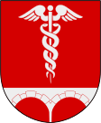 Bengtsfors község címere