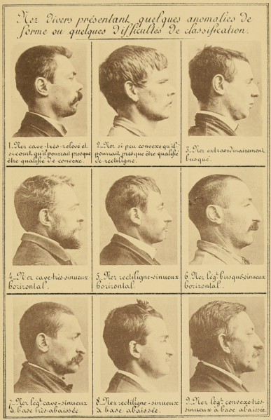 File:Bertillon - Identification anthropométrique (1893) 287.png