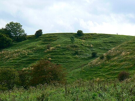 Bincknoll Castle