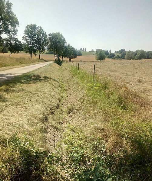 File:Binzenlöchlesgraben, im Binzenlöchle, Blick nach Süden.jpg