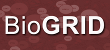 Biogrid logo.png