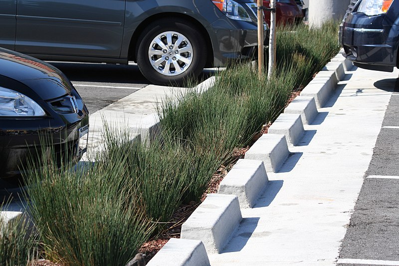 File:Bioswale at The Plant 3.jpg