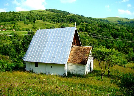 Sălciua