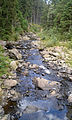 Čeština: Řeka Blanice z mostu pod zříceninou Hus v okrese Prachatice. English: Blanice River as seen from the braidge near Hus, a castle ruin in Prachatice District, South Bohemian Region, Czech Republic.