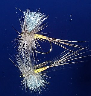 Blue-winged Olive flies