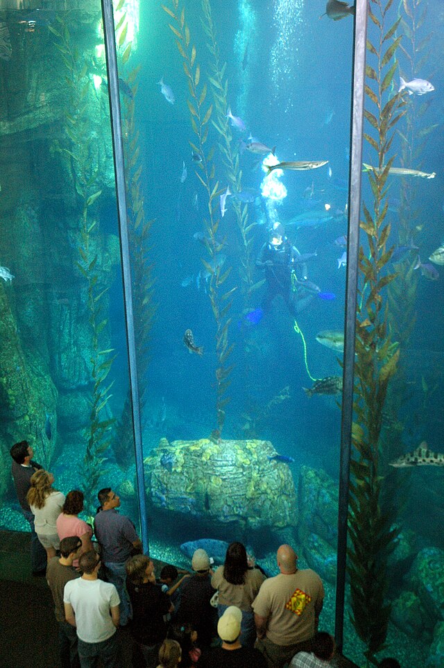 File:Blue_Cavern_exhibit_at_the_Aquarium_of_the_Pacific.jpg