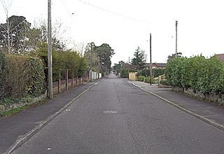 <span class="mw-page-title-main">St Leonards, Dorset</span> Village in south east Dorset, England