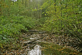 The Bredenbek at the confluence with the Alster