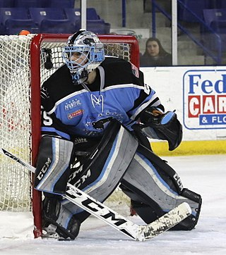 <span class="mw-page-title-main">Brianne McLaughlin</span> American womens ice hockey player