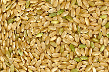 granos de arroz integral, un alimento básico