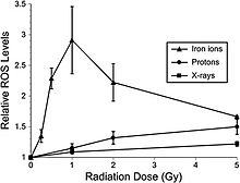 Figure 6-2. Dose response for oxidative stress after 56Fe-ion irradiation. Hippocampal precursors that are subjected to 56Fe-ion irradiation were analyzed for oxidative stress 6 hours after exposure. At doses <=1 Gy a linear dose response for the induction of oxidative stress was observed. At higher 56Fe doses, oxidative stress fell to values that were found using lower-LET irradiations (X rays, protons). Experiments, which represent a minimum of three independent measurements (+-SE), were normalized against unirradiated controls set to unity. ROS levels induced after 56Fe irradiation were significantly (P < 0.05) higher than controls. CNS Figure 2.jpg