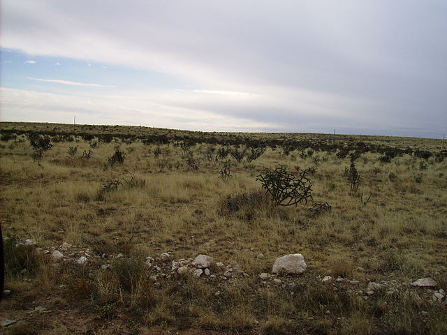 Countryside in Eddy County, 10 miles (16 km) west of Hope