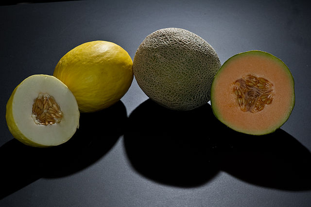 Canary melon and cantaloupe