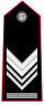 Carabinieri-OR-9b.svg