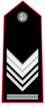 Carabinieri-OR-9b.svg